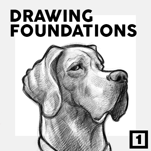 Chapter 1 of Drawing Camp