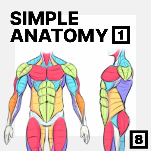 Learn to draw the human body using simple anatomy