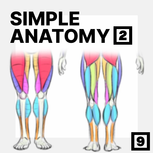 Learn to draw the human body using simple anatomy